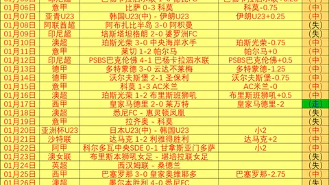 “300姓氏旗手齐聚郑州马拉松盛大亮相”